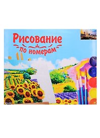 Набор для раскрашивания по номерам ТМ Рыжий Кот Холст 40х50см Башни Сингапура Х-9198