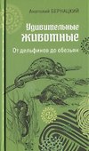Удивительные животные. От дельфинов до обезьян - 0