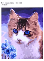 Картина по номера на картоне ТМ LORI "Кот и васильки" 40х50см
