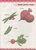 Мир природы. Овощи, фрукты, ягоды, цветы, деревья - 2
