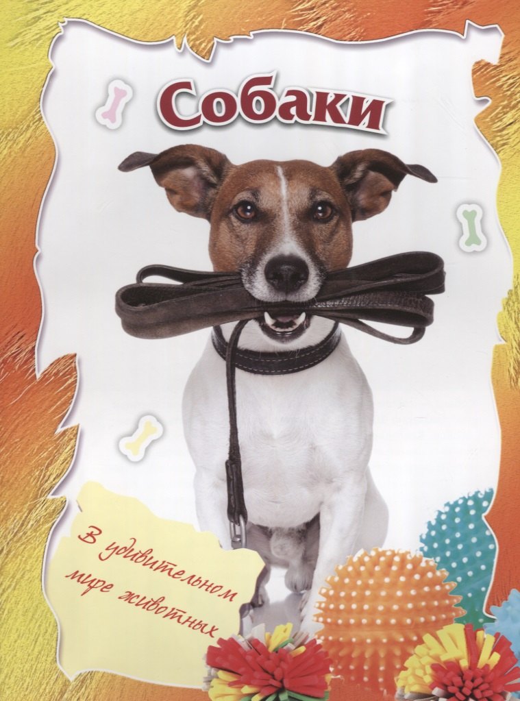 

Собаки