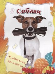 Собаки