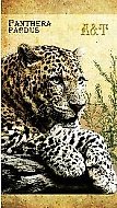 Алфавитная книга А6- 48л "PANTHERA" интегр.обл., глянц.ламин., тиснение цв.фольгой, Феникс