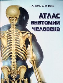 Атлас анатомии человека
