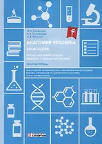 Анатомия человека: Ангиология: Часть 7. Анатомия органов сердечно-сосудистой системы. Рабочая тетрадь