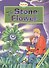 The Stone Flower. Teacher's Edition. Книга для учителя - 0