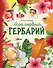 Мой первый гербарий - 0