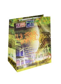 Пакет Париж 21*26*10 ламин. (PM66)