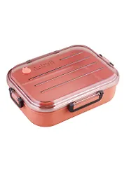 Ланч-бокс Rabbit (розовый) (пластик) (22х17) (F968-03)