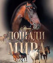 АВ.СКЗ.Лошади мира