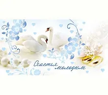 Конверт Счастья молодым 1-20-0596