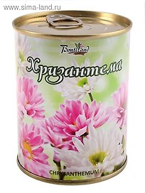 Цветок в банке "Хризантема" (410510)