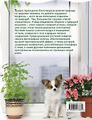 Цветы в доме. Фитодизайн для вашего здоровья. - 1