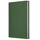 Ежедневник недат. А5 152л "Today. Зеленый" , интегр.переплет, иск.кожа, евроспираль, карман, петля д/ручки, тонир.блок, ляссе, инд.уп