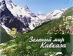 Зеленый мир Кавказа