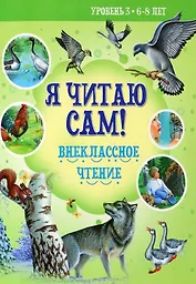 Внеклассное чтение