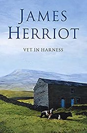 Vet in Harness