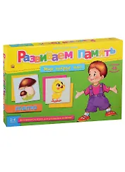 Игра Развиваем память (мемо)МИР ВОКРУГ НАС (Арт ИН-2058)