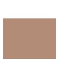 Бумага для пастели 50*65 "Mi-Teintes" 160г/м2 №502 гавана св., Canson