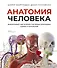 Анатомия человека. Визуальный гид по всем системам организма: норма и патологии - 0