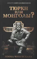 Тюрки или монголы? Эпоха Чингисхана. 2-е издание, исправленное