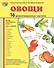 Овощи. 16 демонстрационных картинок с текстом на обороте - 1