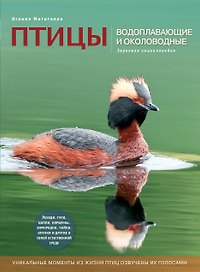 Птицы. Водоплавающие и околоводные. Звуковая энциклопедия