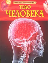 Тело человека