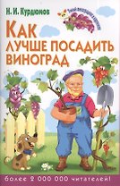 Как лучше посадить виноград