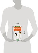 Фокстерьер: Кормление, стандарт породы, выбор щенка, собачья аптека - 1