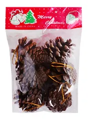 Набор природного декора Лесные шишки, набор 6 шт   3572408