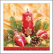 Салфетки Daisy НГ 33*33*3сл. 20шт SDGW003101