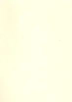 Бумага для пастели А4 "Mi-Teintes" 160г/м2 №101 бледно-желтый, Canson