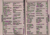 Русско-чешский разговорник (12+) - 2