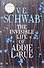 The Invisible Life of Addie Larue (Victoria Schwab) Незримая жизнь Адди Ларю (Виктория Шваб)/ Книги на английском языке - 2