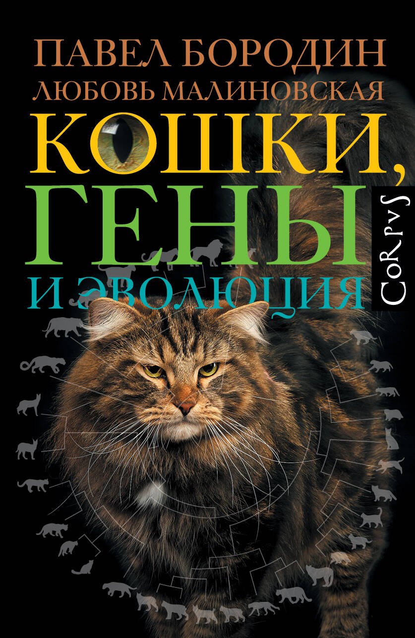 

Кошки, гены и эволюция
