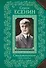 Анна Снегина. Стихотворения - 0