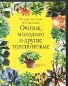 Очиток, молодило и другие толстянковые