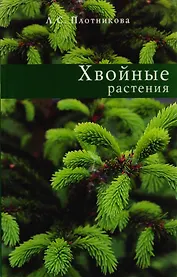 Хвойные растения