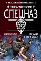 Цунами в тылу врага