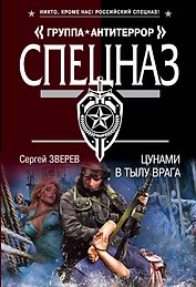 Цунами в тылу врага