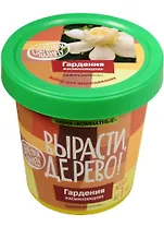 Набор для опытов и экспериментов Набор Вырасти дерево! Гардения zk-044