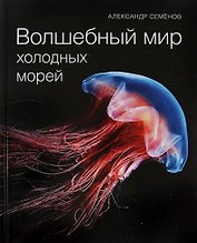 Волшебный мир холодных морей