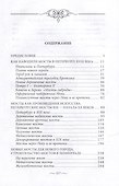 Мосты Петербурга. В прошлом, настоящем и будущем - 2