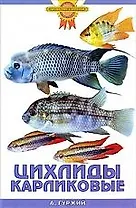 Цихлиды карликовые