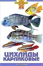 Цихлиды карликовые