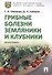 Грибные болезни земляники и клубники. Монография.-М.:Проспект,2019. - 0