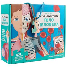 Тело человека