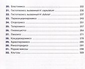 Гистологическая диагностика инвазивных микозов - 2