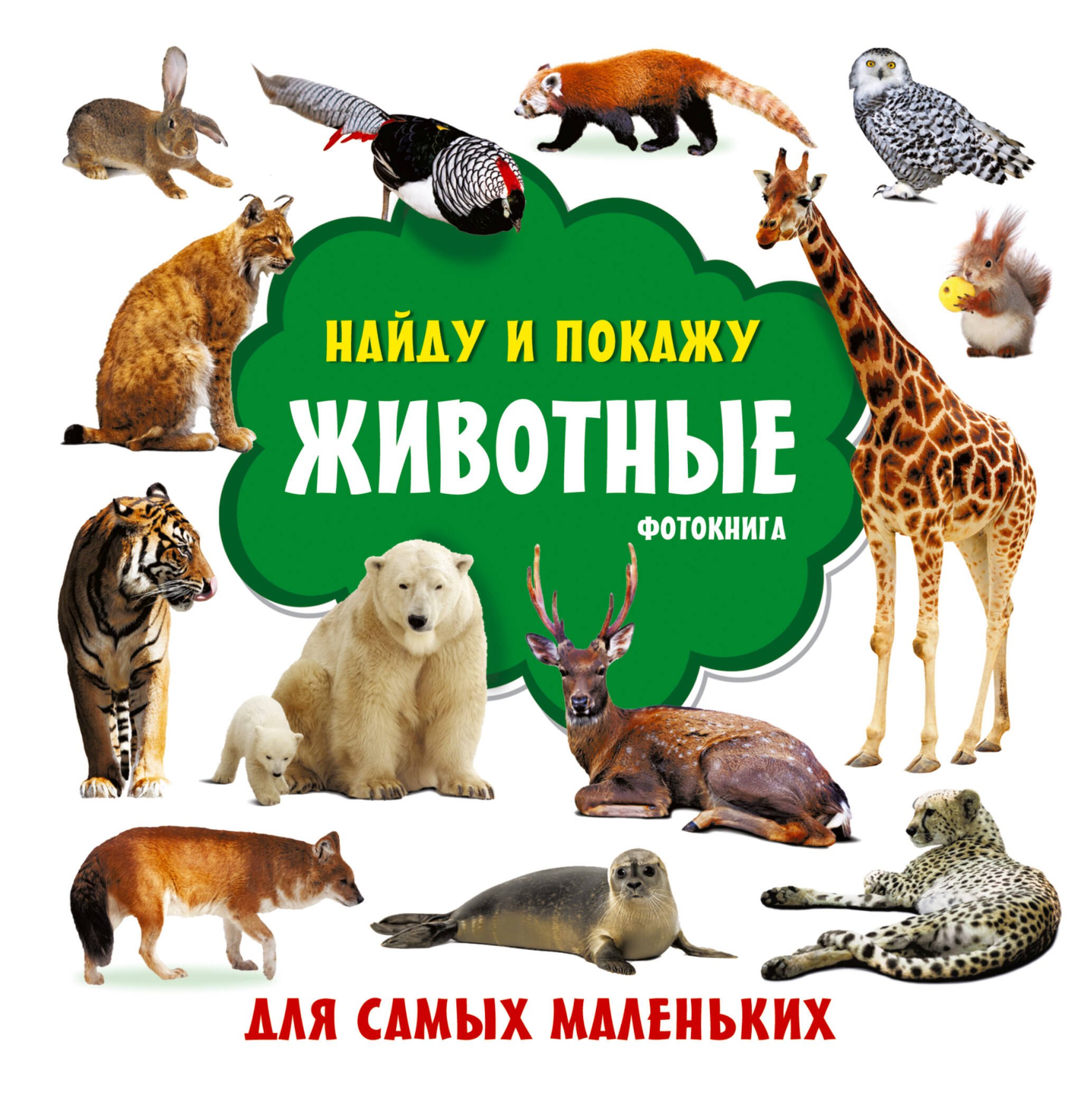 

Животные. Фотокнига